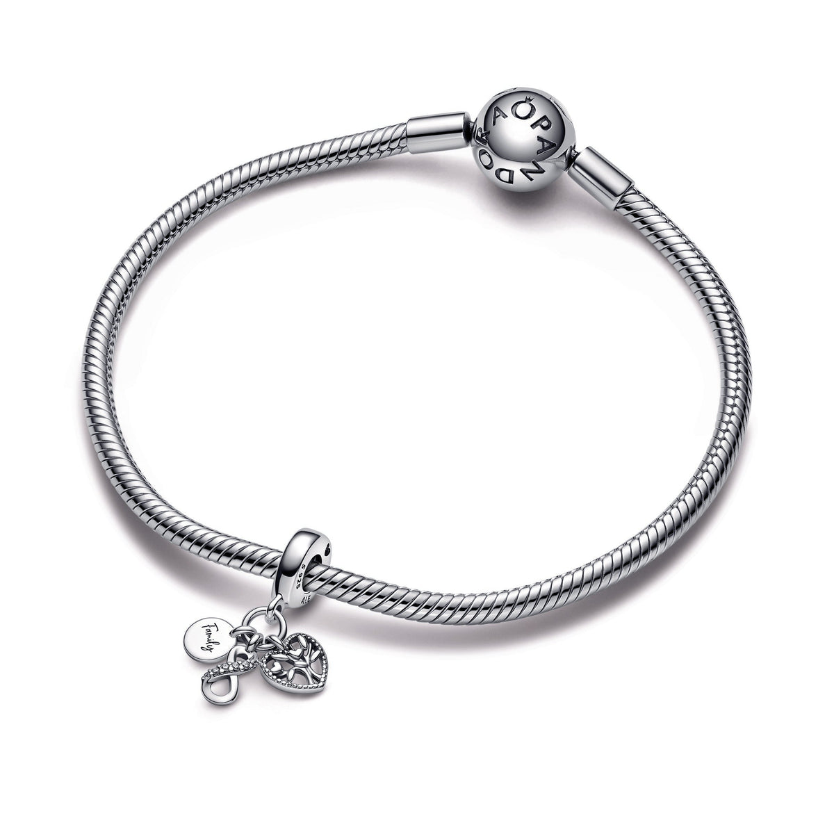 Family Infinity Triple Dangle Charm