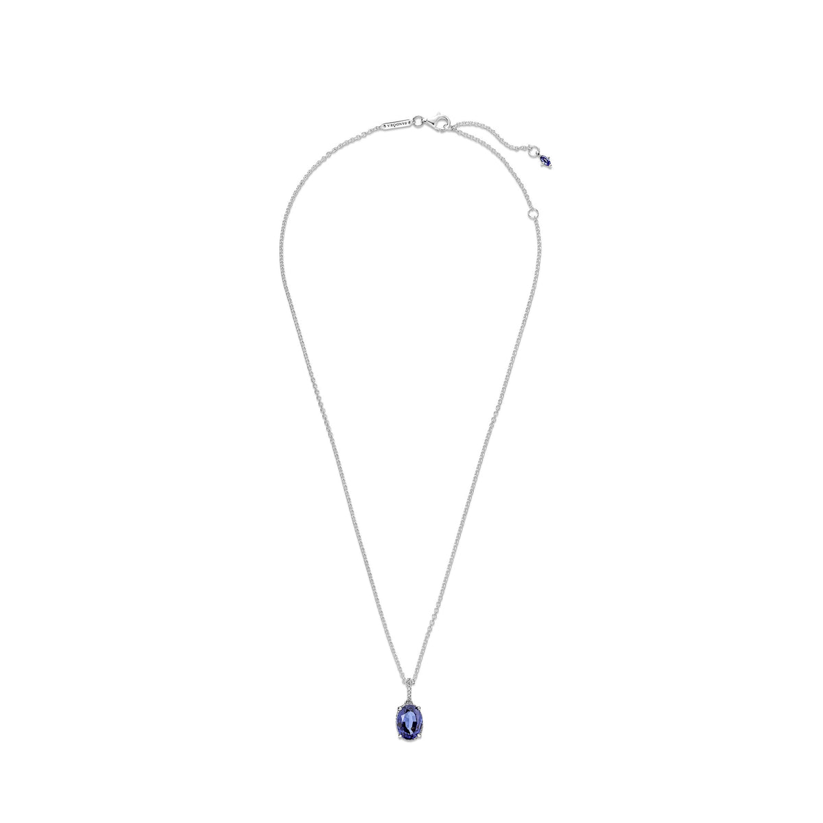 Sparkling Statement Halo Pendant Necklace