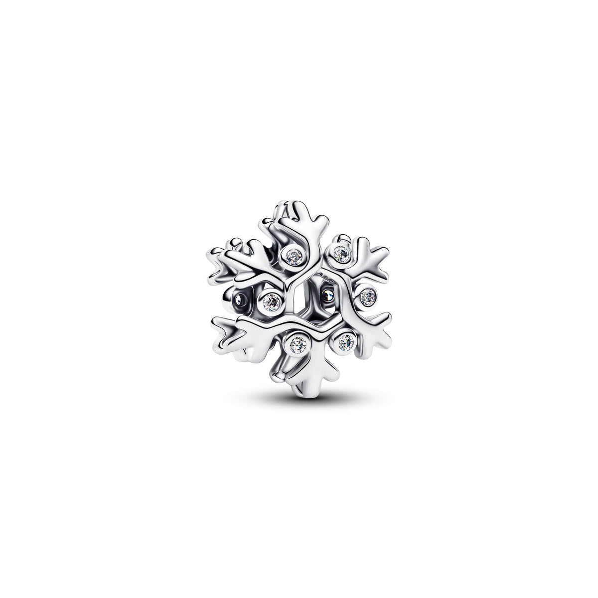 Snowflake Charm